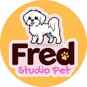 Banho e Tosa em Guarulhos com Leva e Traz | Fred Studio Pet Banho e Tosa em Guarulhos com Leva e Traz | Fred Studio Pet